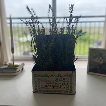 Two Bedroom Deluxe Sea View Guest Apartmán Inis Mor