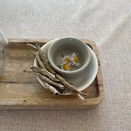 Apartment Two Bedroom Deluxe Sea View Guest *