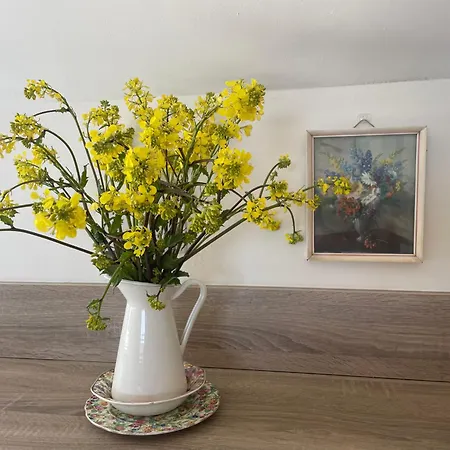 Two Bedroom Deluxe Sea View Guest Apartament *