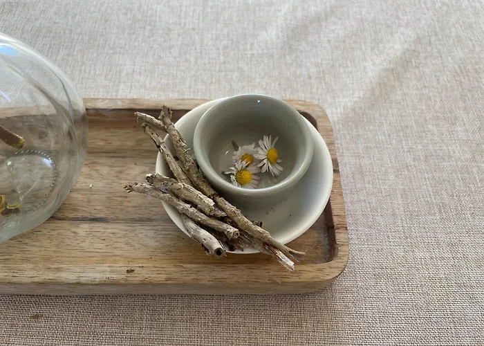 Apartment Two Bedroom Deluxe Sea View Guest *